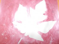 /album/feuilles-et-papillons/picture-233-jpg/